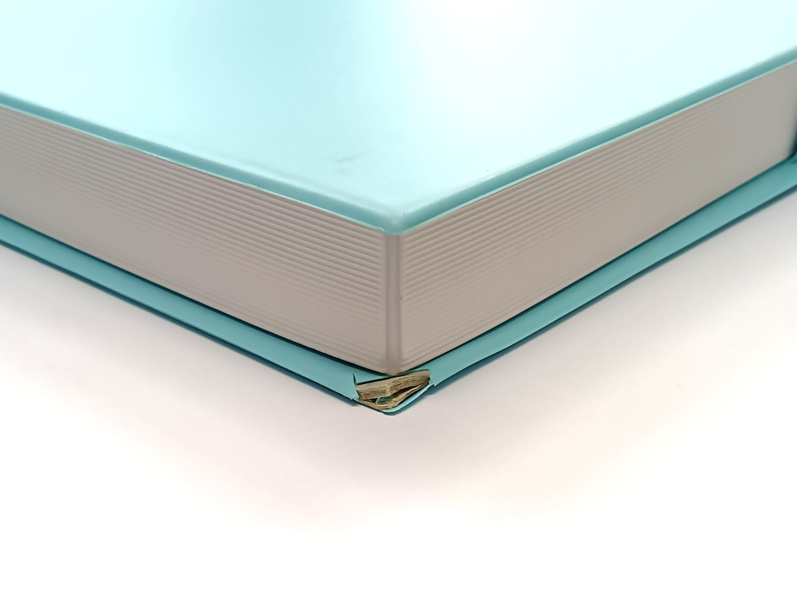 あお☆ 公式]鉄道模型(10-1506287系 パンダくろしお「Smile