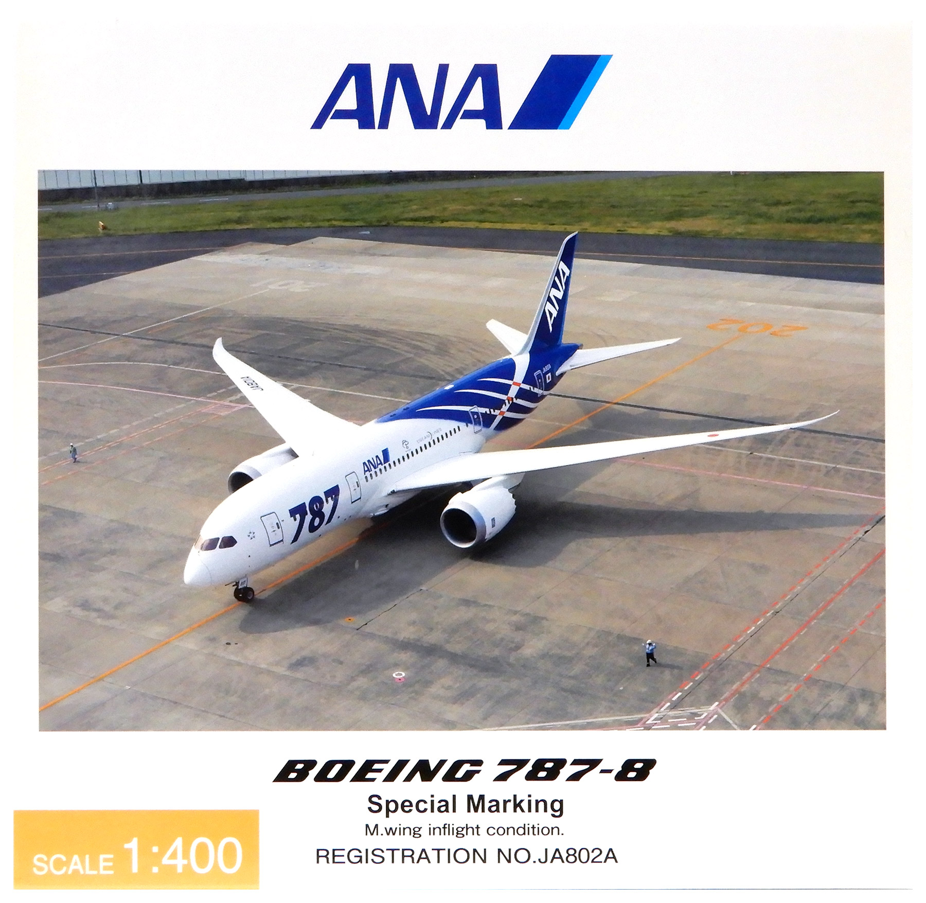 公式]TOY(ANA B787-8 Special Marking 主翼空中姿勢 JA802A)商品詳細