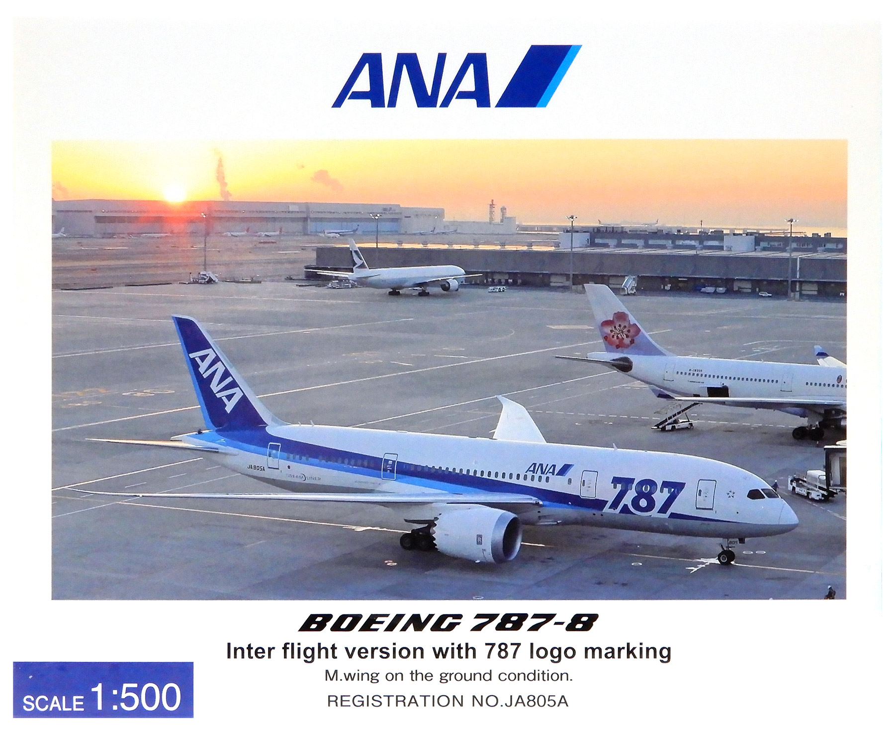 全日空商事製 1/200 ANA B787-8 JA805A 完成品 ➀ 1/200 ANA 全日空 B787-8 Dreamliner JA805A ANA B787-800 JA801A