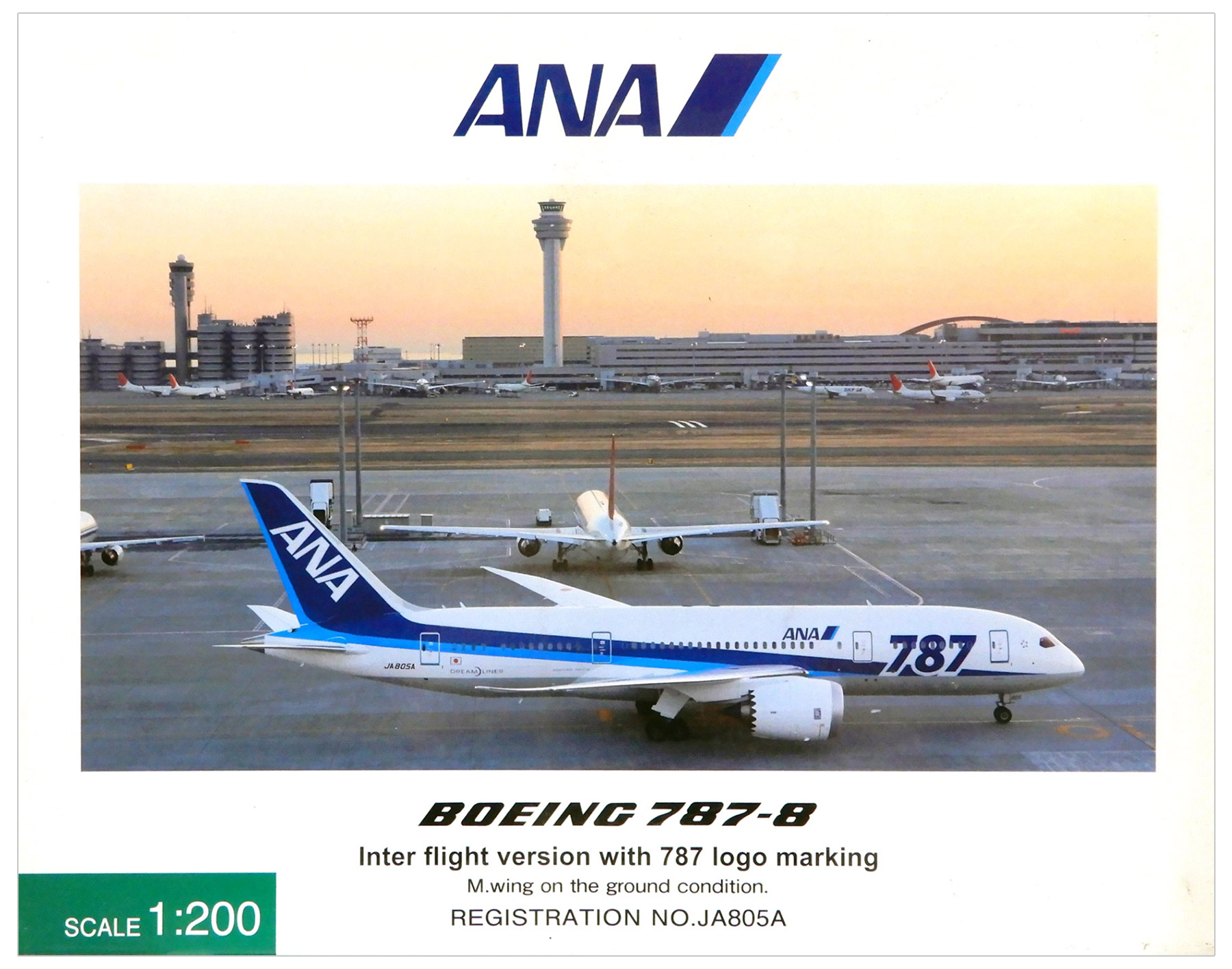 公式]TOY(ANA B787-8 国際線仕様 787ロゴ 主翼地上姿勢 JA805A)商品