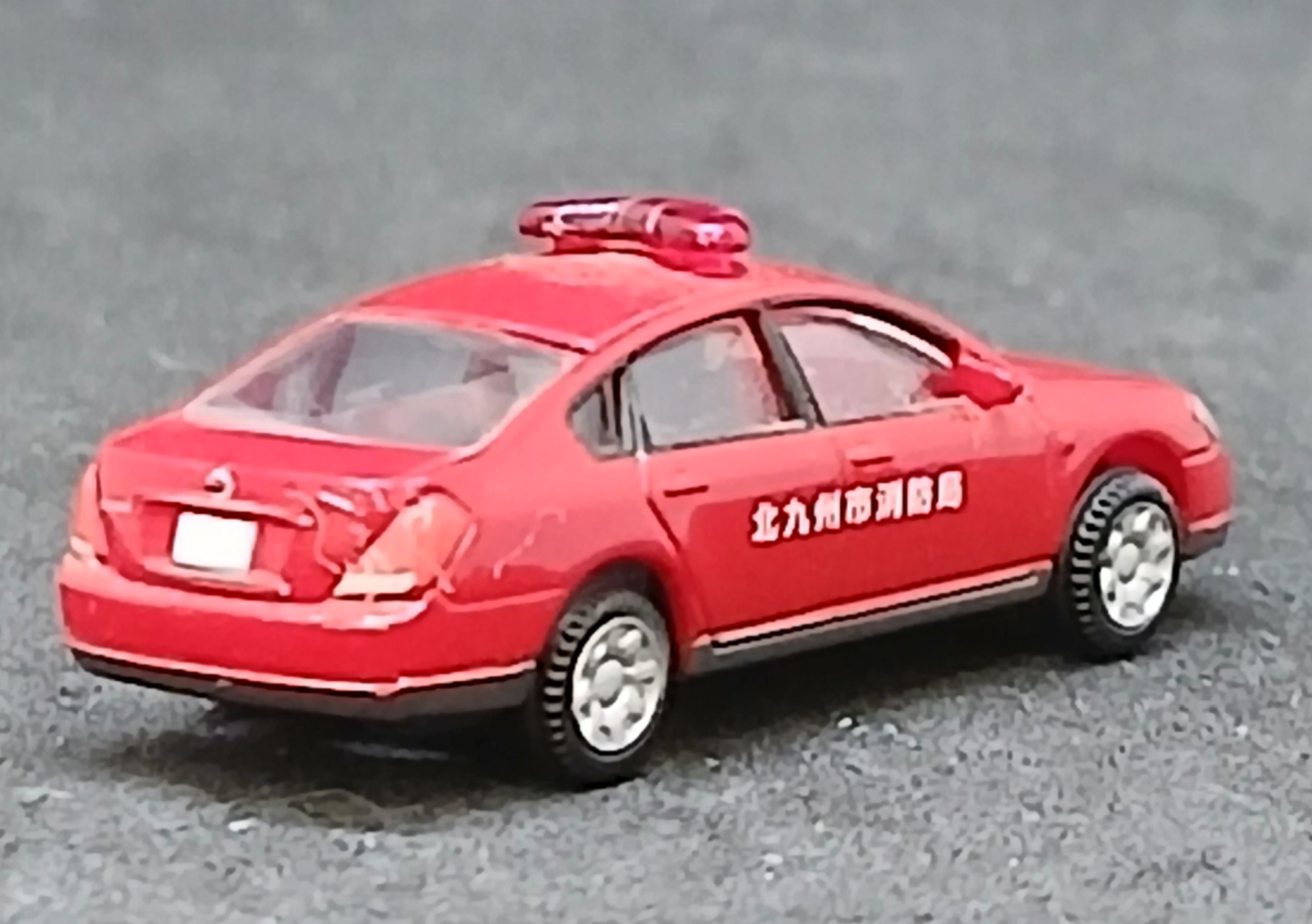 der0033939_b