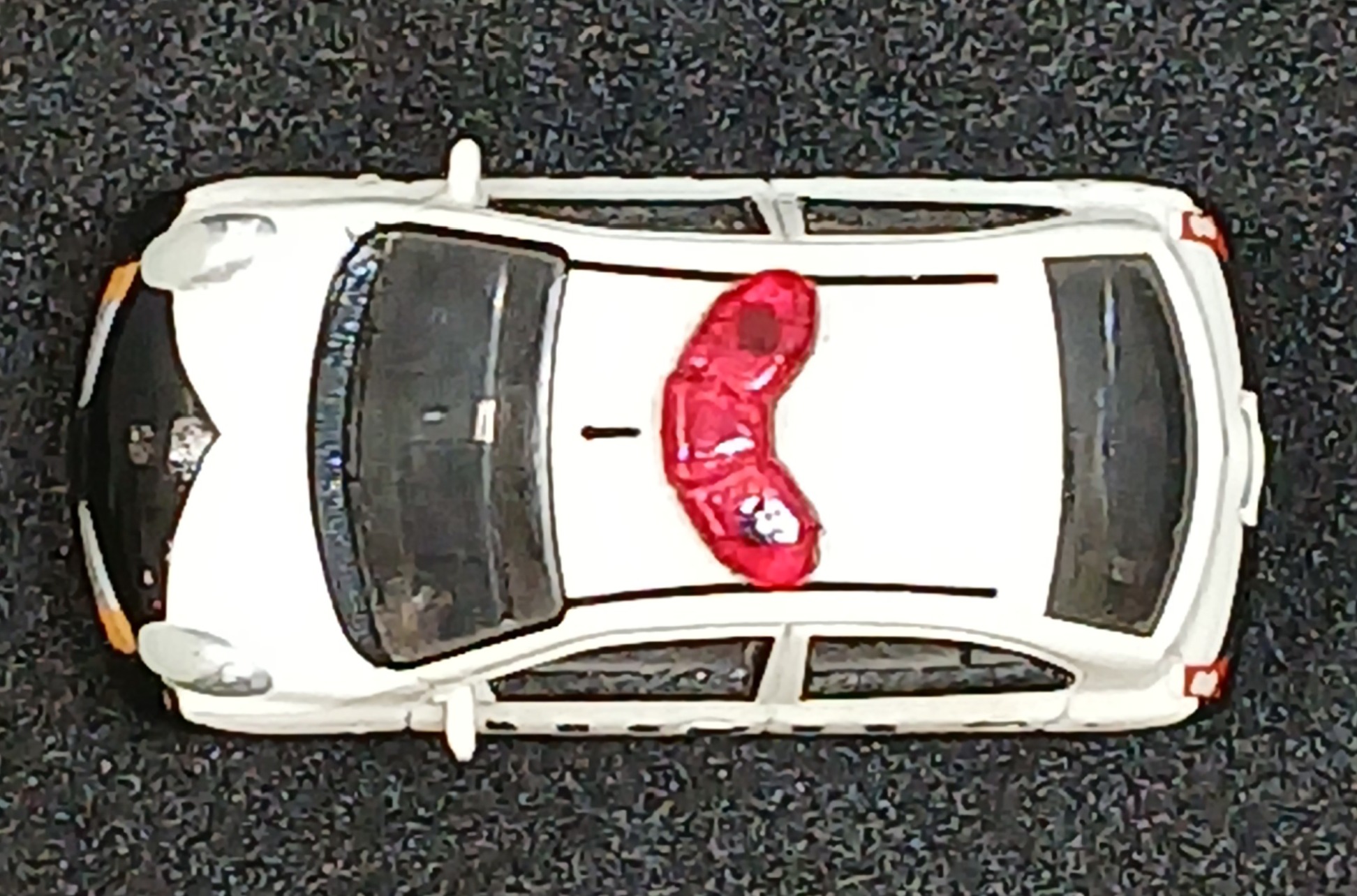 der0033941_c
